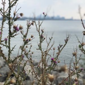 Meet your Posher, Jill